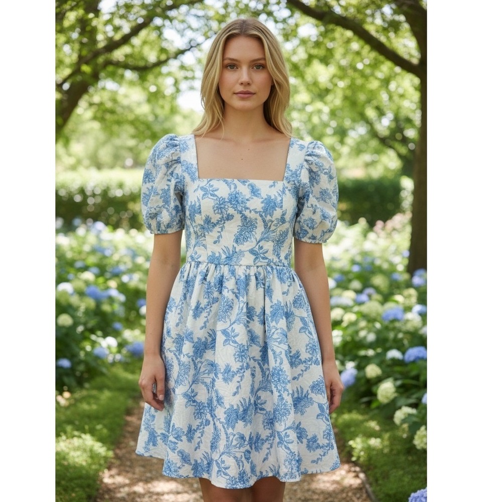 Womens‎ Floral Puff Sleeve Mini Dress S Blue White Toile Jacquard Coquette